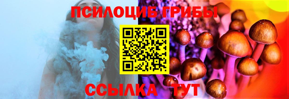 Коркино  Псилоцибиновые грибы мицелий  Вход с VPN  Псилоцибиновые грибы GOLDEN TEACHER 