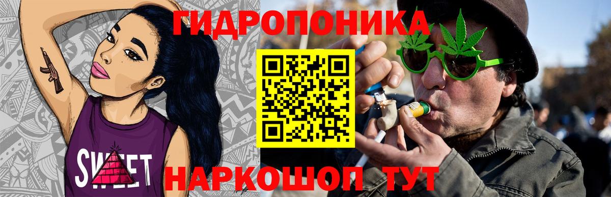Канабис OG Kush Коркино